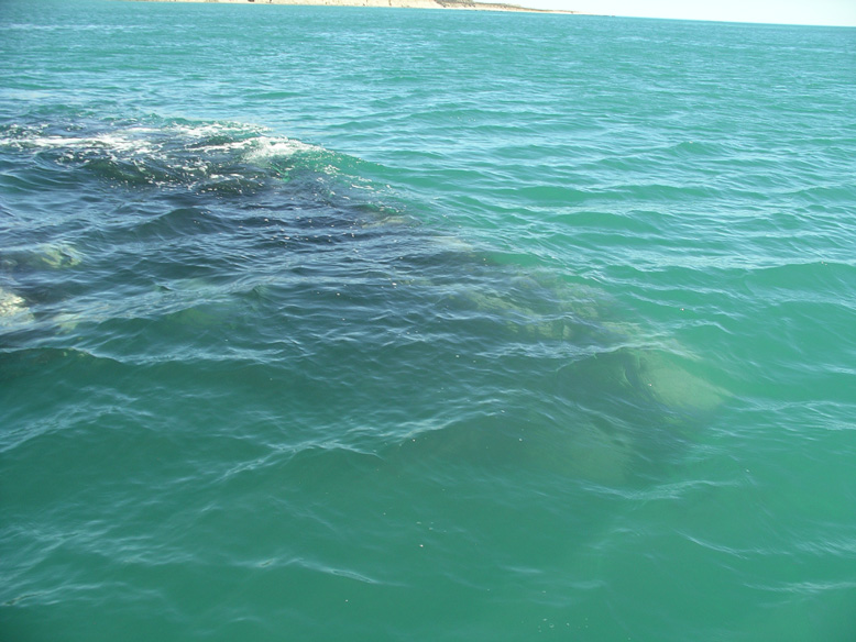 pasando por debajo de la embarcación